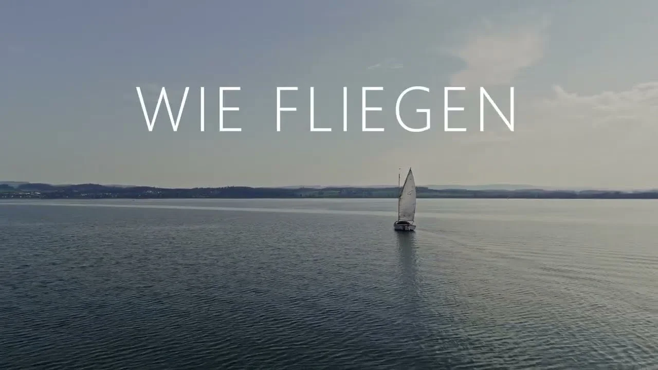 Wie Fliegen